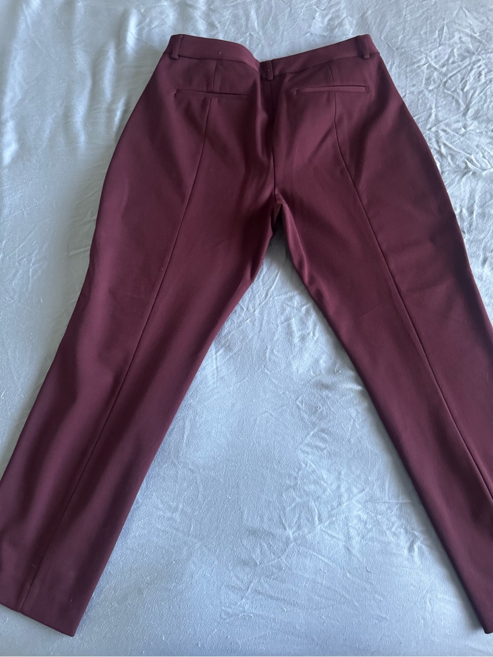 Express Women's Tailored Trousers in Burgundy